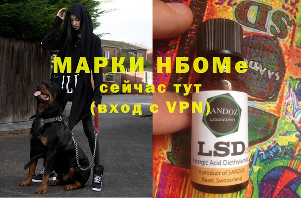 гидропоника Болотное