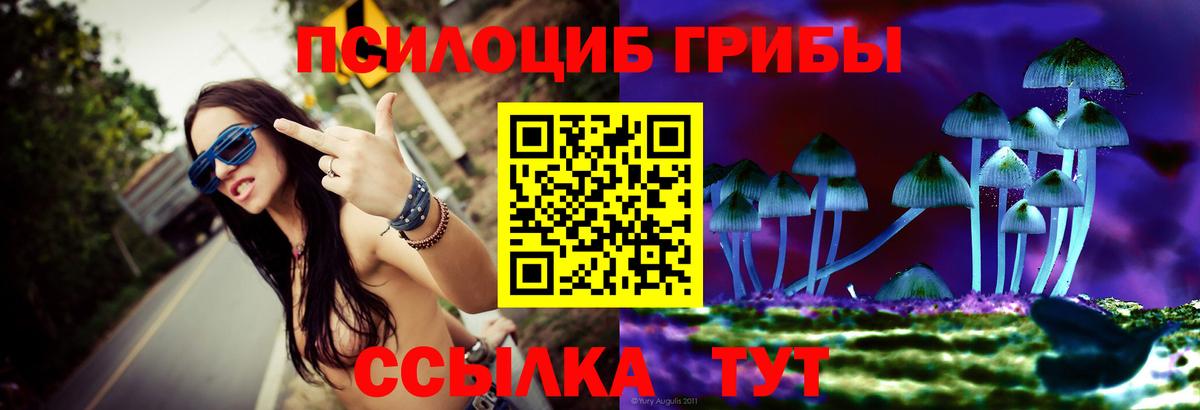 Псилоцибиновые грибы Psilocybe Тутаев
